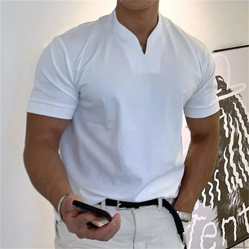 Polo para hombre, estilo caballero de negocios