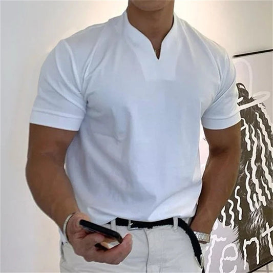 Polo para hombre, estilo caballero de negocios